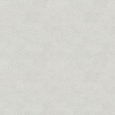 Platinum Texture Drapery and Upholstery Fabric by Kravet
