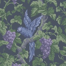 Viol/Ink Botanical Wallcovering by Cole & Son Wallpaper